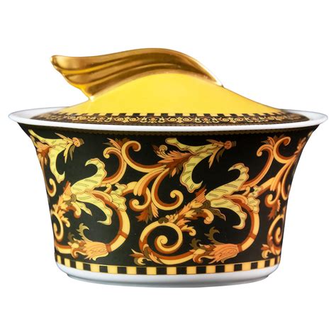 versace rosenthal barocco collection|rosenthal barocco tableware.